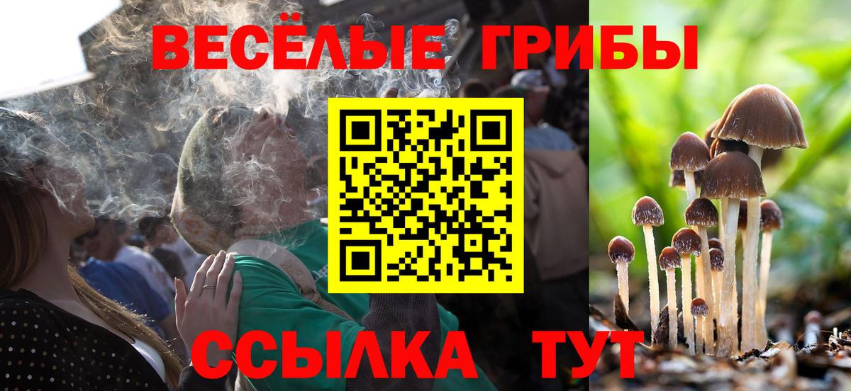 Кинель  Галлюциногенные грибы Cubensis  Вход с VPN 